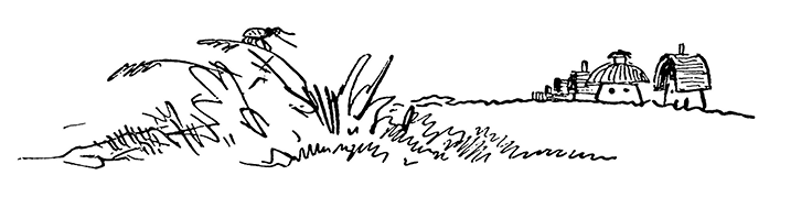 Всё о Незнайке и его друзьях - i_042.png