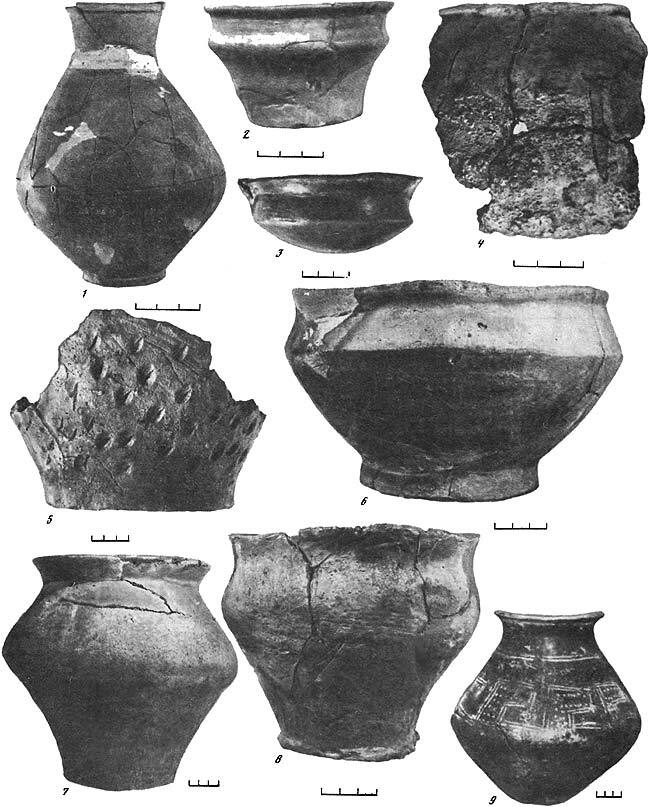 Славяне и их соседи в конце I тысячелетия до н.э. - первой половине I тысячелетия н. э. - i_083.jpg