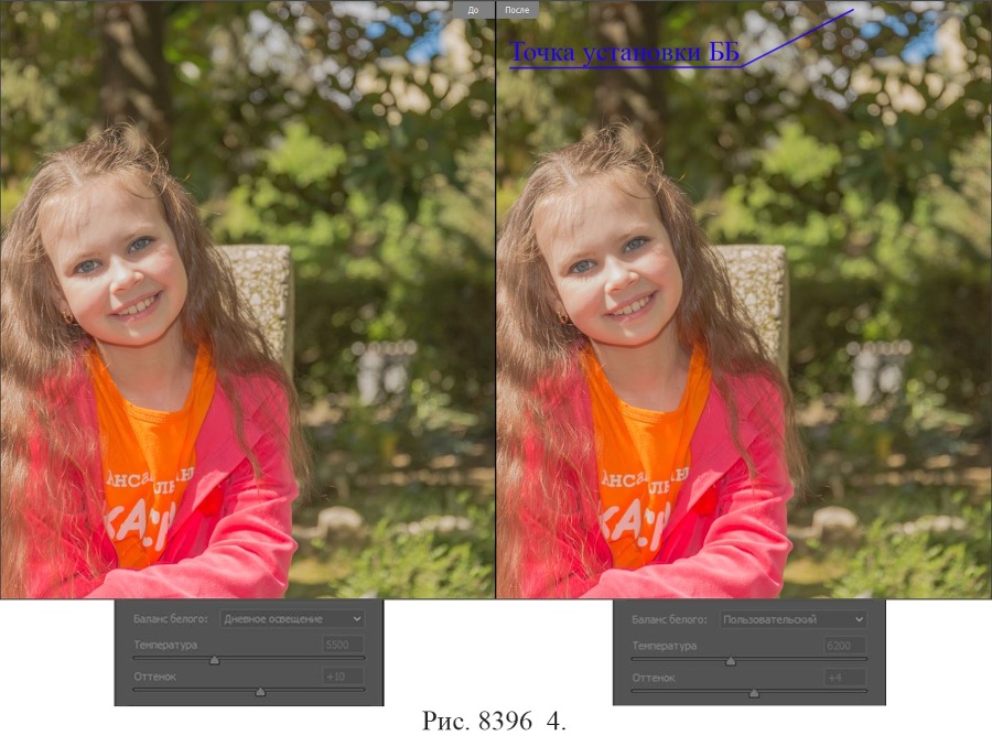 Camera RAW: обработка фото в PHOTOSHOP с нуля - _26.jpg