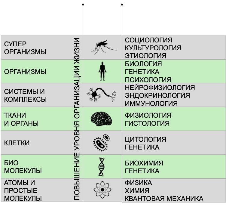 Философия бессмертия - _0.jpg