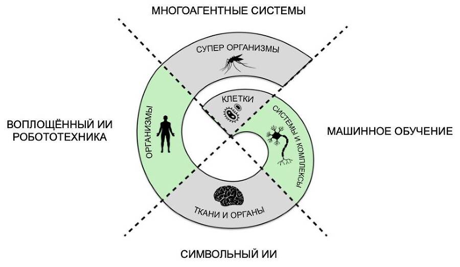 Философия бессмертия - _1.jpg