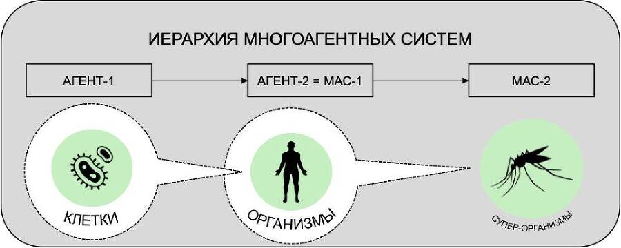 Философия бессмертия - _4.jpg