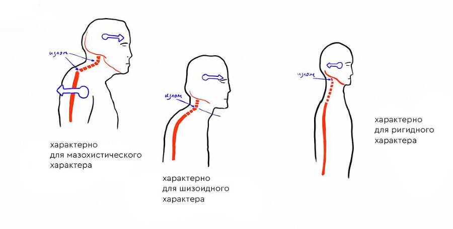 Основы телесной диагностики в психотерапии - _3.jpg