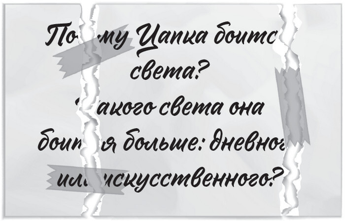 Плюшевая голова - i_010.jpg