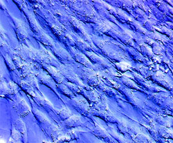 Журнал "Компьютерра" №722 - _722-940.jpg