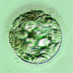 Журнал "Компьютерра" №722 - _722-939.jpg