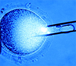 Журнал "Компьютерра" №722 - _722-937.jpg