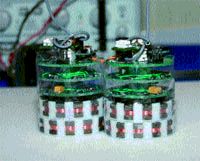 Журнал «Компьютерра» N 37 от 10 октября 2006 года - pic_22.jpg