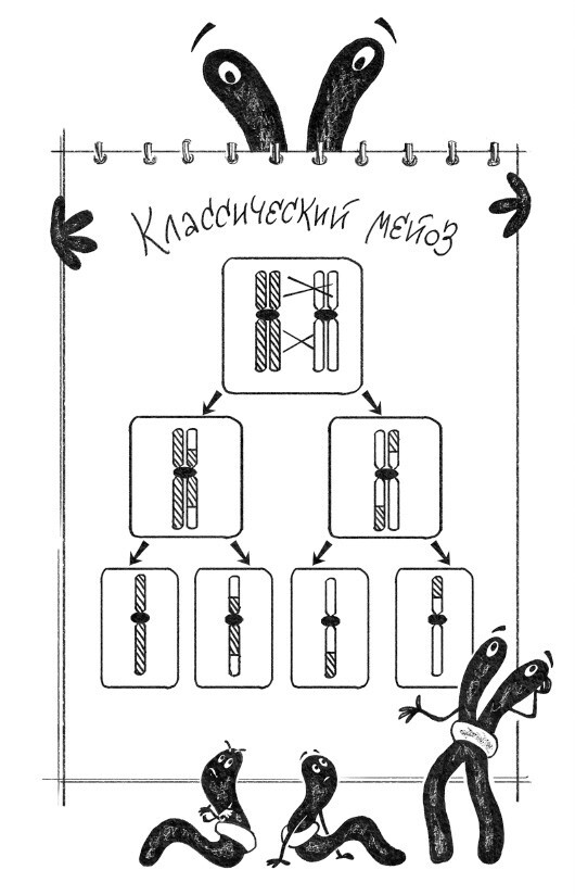 Секс с учеными: Половое размножение и другие загадки биологии - i_016.jpg