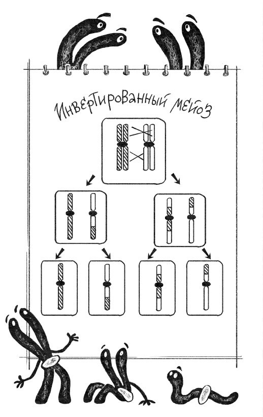 Секс с учеными: Половое размножение и другие загадки биологии - i_017.jpg