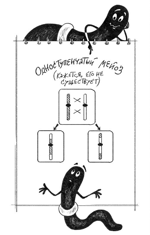 Секс с учеными: Половое размножение и другие загадки биологии - i_018.jpg