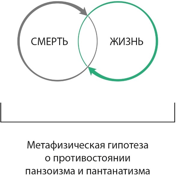 Экономика витальности - _19.jpg