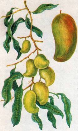 Человек в экстремальных условиях природной среды - i_126.jpg