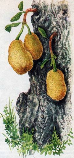 Человек в экстремальных условиях природной среды - i_127.jpg