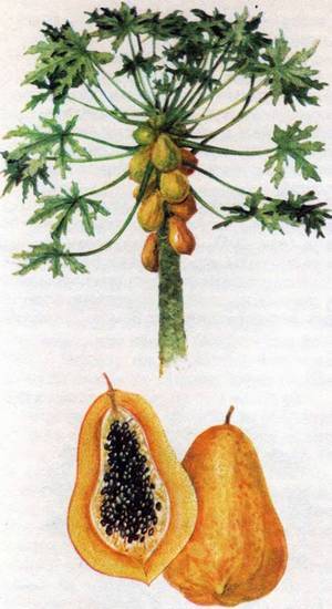 Человек в экстремальных условиях природной среды - i_128.jpg