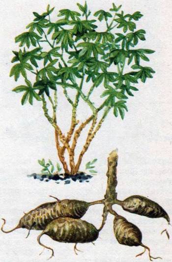 Человек в экстремальных условиях природной среды - i_131.jpg