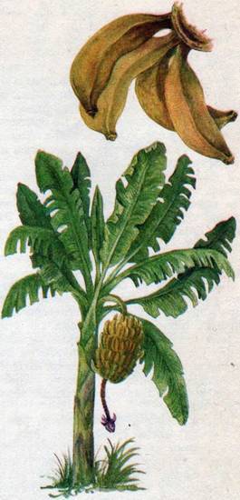 Человек в экстремальных условиях природной среды - i_133.jpg