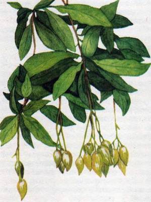 Человек в экстремальных условиях природной среды - i_136.jpg