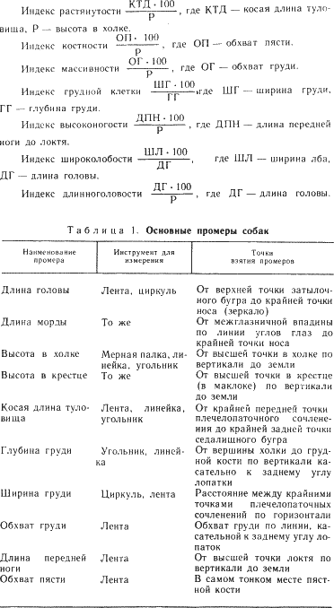 Наши четвероногие друзья - i_006.png