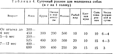 Наши четвероногие друзья - i_064.png