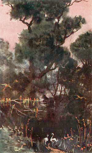 Зов Амазонки - i_039.jpg