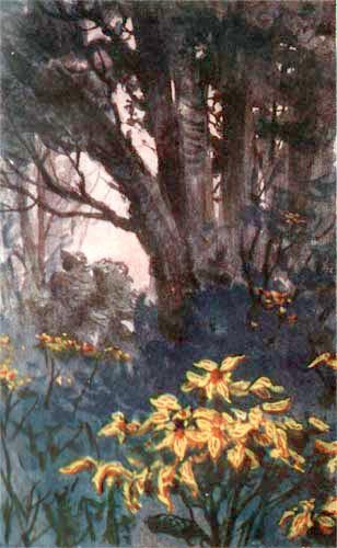 Зов Амазонки - i_040.jpg