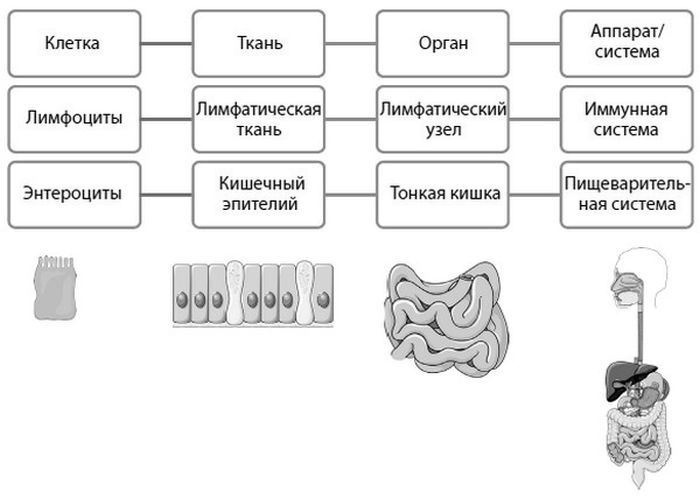 Смерть на выходных - i_007.jpg