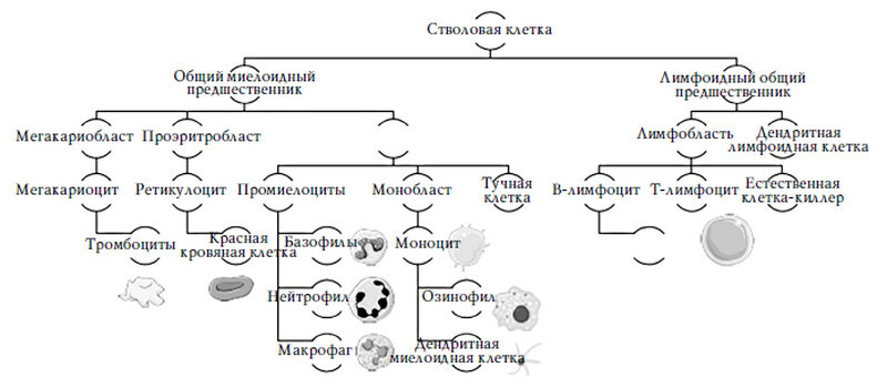 Смерть на выходных - i_011.jpg