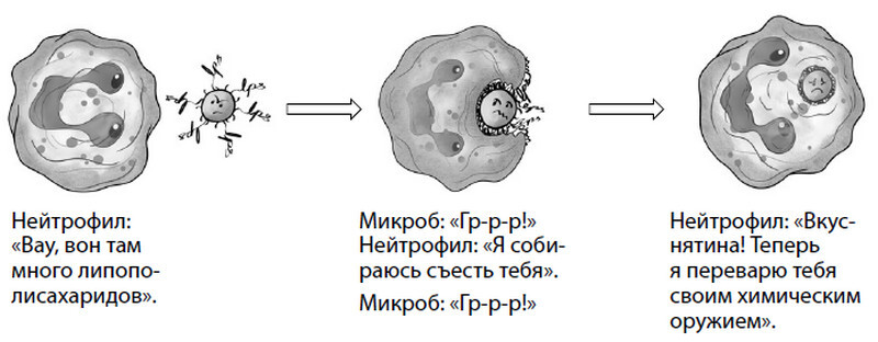 Смерть на выходных - i_012.jpg