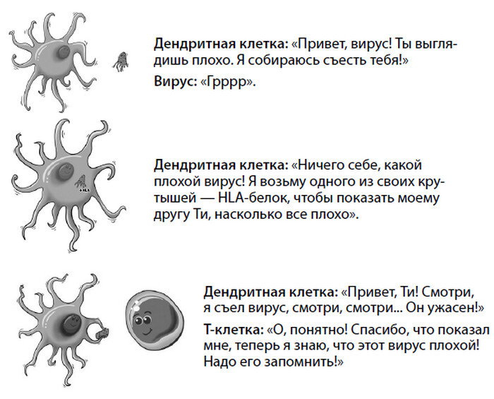 Смерть на выходных - i_015.jpg