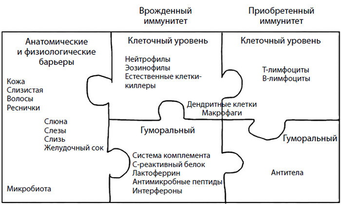 Смерть на выходных - i_017.jpg