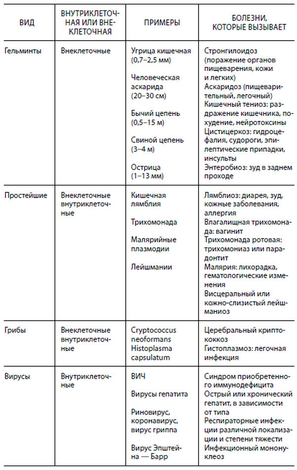 Формула иммунитета. Научи свою защитную систему побеждать любую болезнь - i_004.jpg