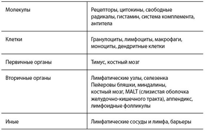 Формула иммунитета. Научи свою защитную систему побеждать любую болезнь - i_008.jpg