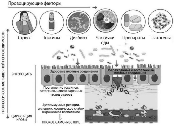 Формула иммунитета. Научи свою защитную систему побеждать любую болезнь - i_010.jpg