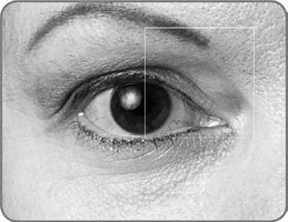 Взгляд в молодость: Система Осьмионика для лица и глаз: Комплекс ручных и аппаратных методик. Эволюция – путь во времени: Ментальные и телесные техники сохранения молодости - i_062.jpg