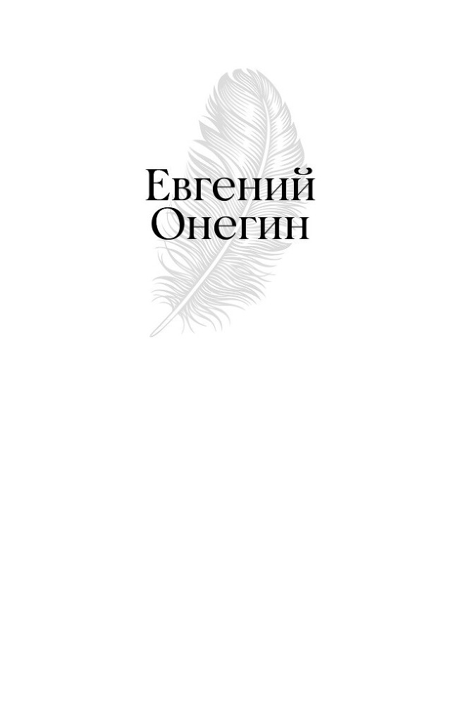 Евгений Онегин. Повести покойного Ивана Петровича Белкина. Пиковая дама - i_012.jpg