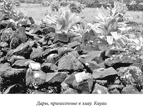 Гавайская магия: Руководство по духовным традициям и практикам. Как стать магом: Французский оккультный манифест эпохи декаданса - i_014.jpg