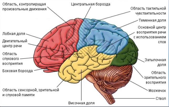 Магия речи - _1.jpg