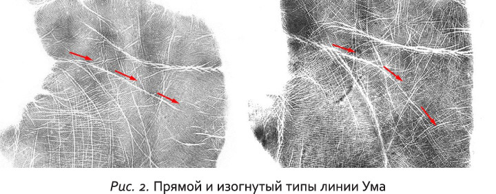 Неповторимый узор судьбы. Руководство по хирологии. Часть 2. Уровень мастера - i_003.jpg