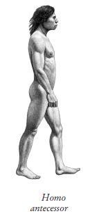 Происхождение языка: Факты, исследования, гипотезы - i_057.jpg