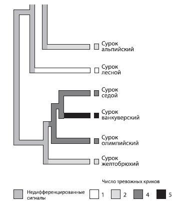 Происхождение языка: Факты, исследования, гипотезы - i_079.jpg