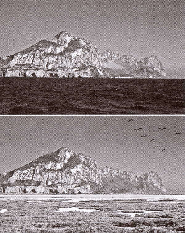 Вымершие люди: почему неандертальцы погибли, а мы — выжили - i_016.jpg