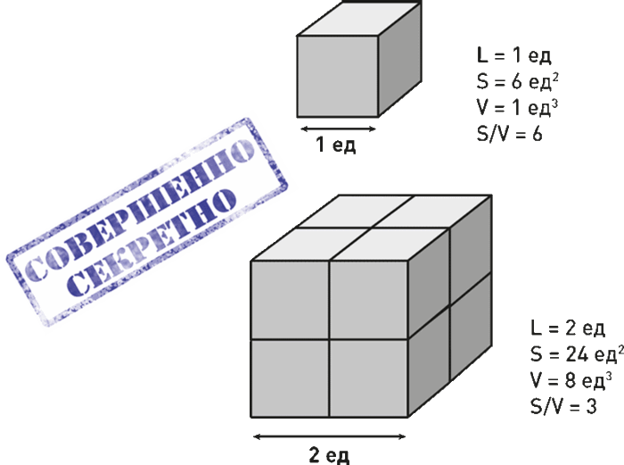 Мир на пике – Мир в пике - i_274.png