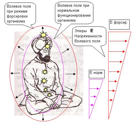 Порталы магии вознесения - img_7.png