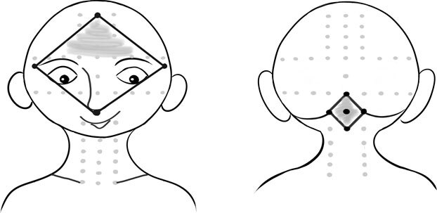 Книга Земли. Первым заговорил шалфей - i_007.jpg