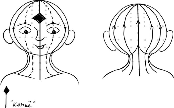 Книга Земли. Первым заговорил шалфей - i_008.jpg