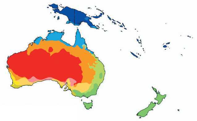 Гекконы Австралии и Океании - _0.jpg