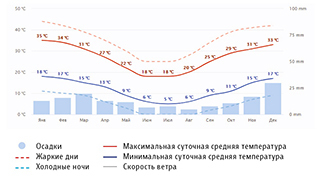 Гекконы Австралии и Океании - _11.jpg