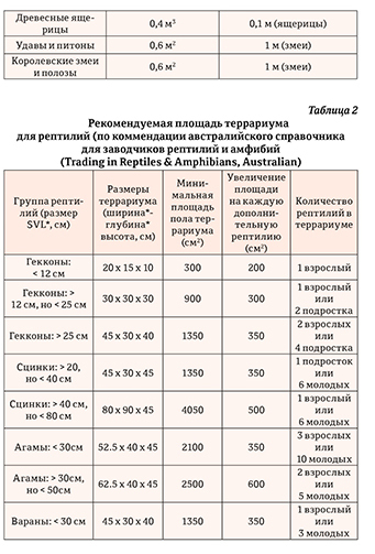 Гекконы Австралии и Океании - _21.jpg