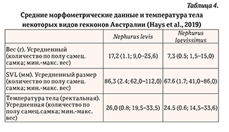 Гекконы Австралии и Океании - _49.jpg